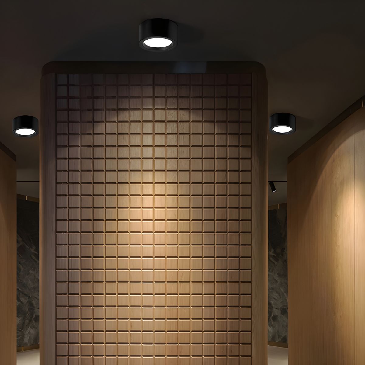 Nordic Style Indoor Surface Flush Ceiling Lights - Image 9