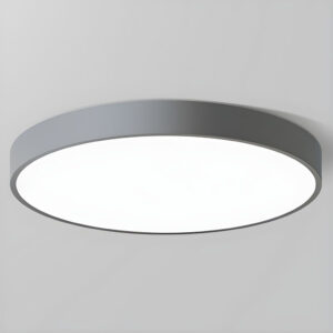 Alternative view of Circular Flush Mount LED Ceiling Lights