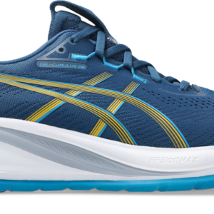 Men's Gel-Cumulus 28